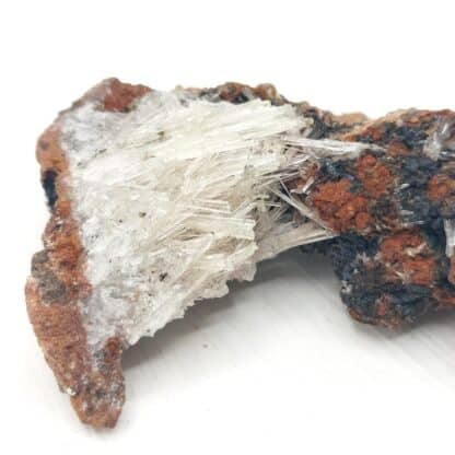 Scholzite, Reaphook Hill, Martins Well (Martins Well Station), Australie.