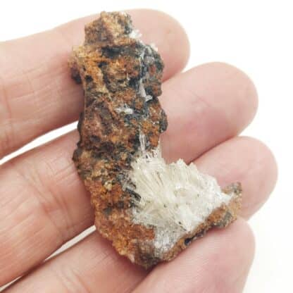 Scholzite, Reaphook Hill, Martins Well (Martins Well Station), Australie.