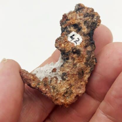 Scholzite, Reaphook Hill, Martins Well (Martins Well Station), Australie.