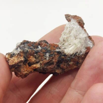 Scholzite, Reaphook Hill, Martins Well (Martins Well Station), Australie.