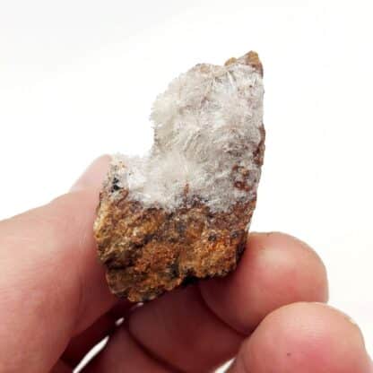 Scholzite, Reaphook Hill, Martins Well, Australie.