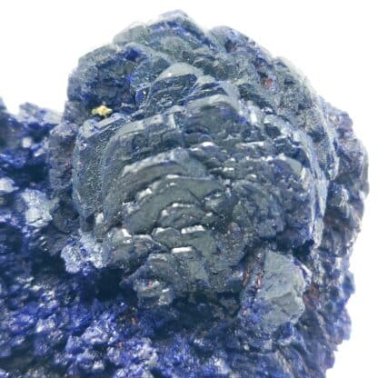 Azurite, Kolwezi, Mutshatsha, Lualaba, RD Congo.