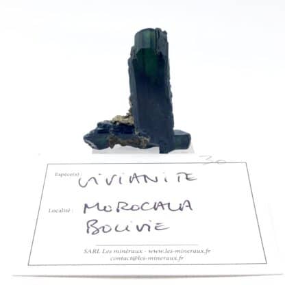 Vivianite, Mine de Morococala, district minier de Santa Fé, Bolivie.