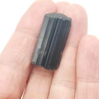 Elbaïte (Tourmaline), Golconda, Minas Gerais, Brésil.