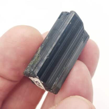 Elbaïte (Tourmaline), Golconda, Minas Gerais, Brésil.