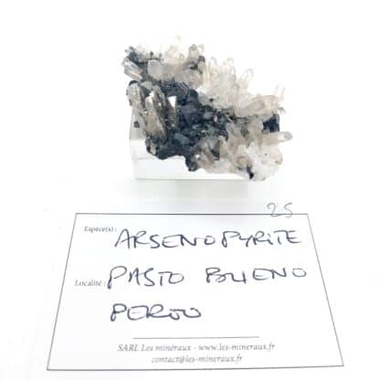 Arsénopyrite et quartz, Pasto Bueno, Pérou.