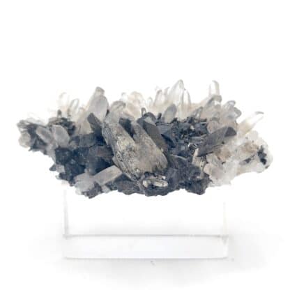 Arsénopyrite et quartz, Pasto Bueno, Pérou.