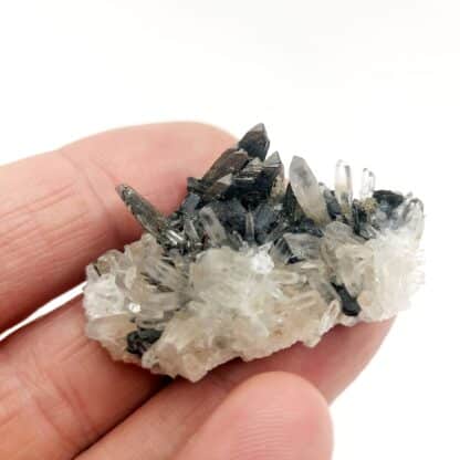 Arsénopyrite et quartz, Pasto Bueno, Pérou.