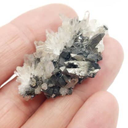 Arsénopyrite et quartz, Pasto Bueno, Pérou.