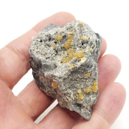 Sphalérite, Carrière Holcim, Lockport, comté de Niagara, New York, États-Unis.