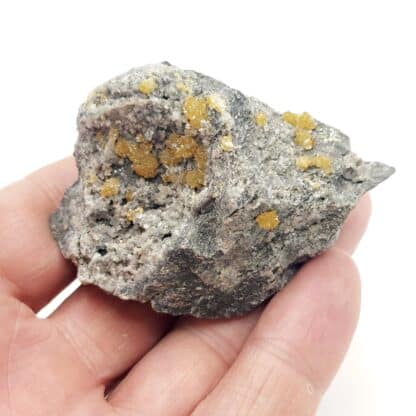 Sphalérite, Carrière Holcim, Lockport, comté de Niagara, New York, États-Unis.