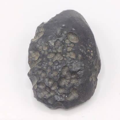 Tectite de Thaïlande.