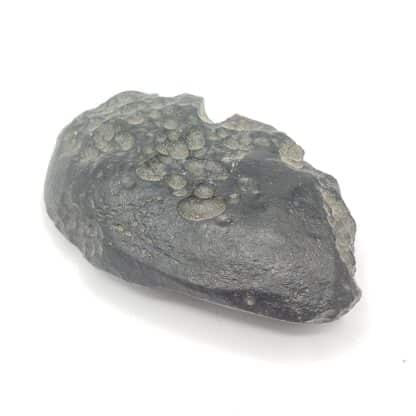 Tectite de Thaïlande.