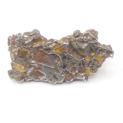 Pallasite (Météorite), Seymchan, Magadan, Russie.