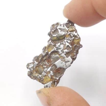 Pallasite (Météorite), Seymchan, Magadan, Russie.