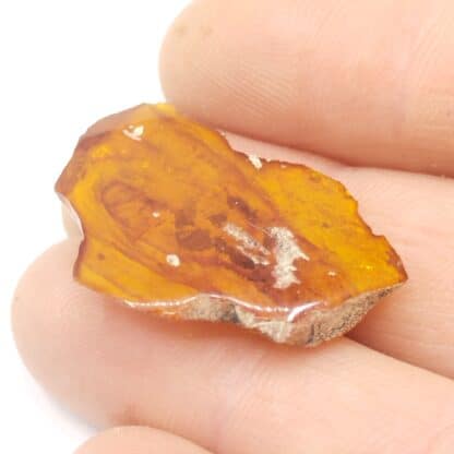 Ambre, Carrière Lafarge, Chevrières, Oise.