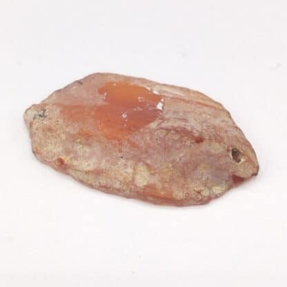 Ambre, Carrières de Chevrières, Oise.