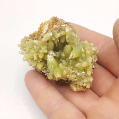 Pyromorphite, Mine Daoping, Guangxi, Chine.