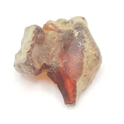 Ambre, Chevrières, Oise.