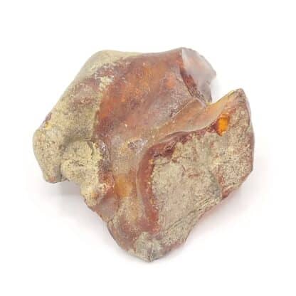 Ambre, Chevrières, Oise.