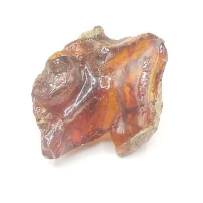 Ambre, Chevrières, Oise.