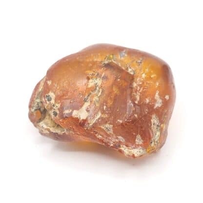 Ambre, Carrière Lafarge, Chevrières, Oise.