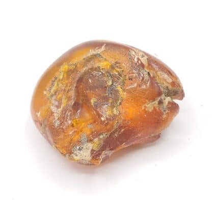 Ambre, Carrière Lafarge, Chevrières, Oise.