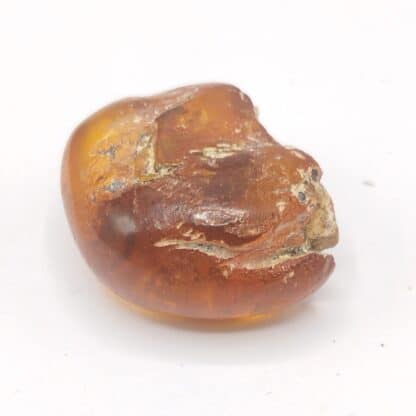 Ambre, Carrière Lafarge, Chevrières, Oise.