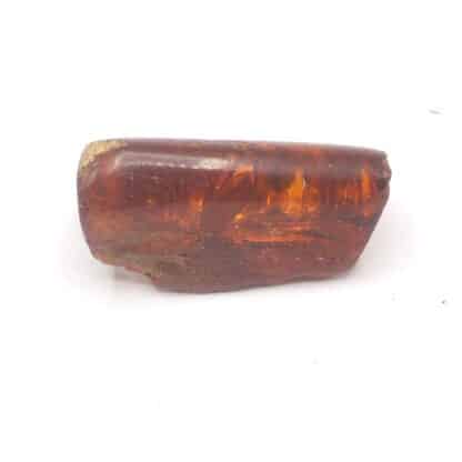 Ambre, Chevrières, Oise.
