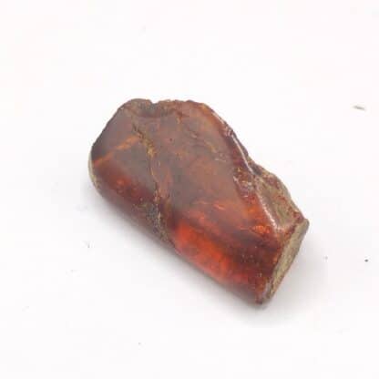 Ambre, Chevrières, Oise.