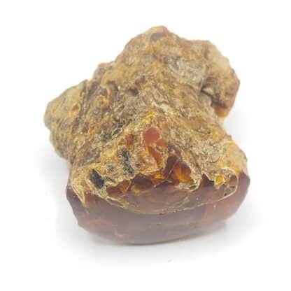 Ambre, Carrières Lafarge, Chevrières, Oise.