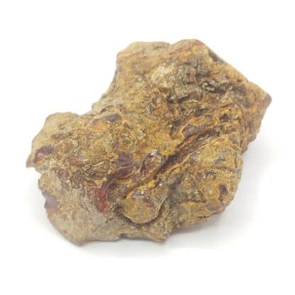 Ambre, Carrières Lafarge, Chevrières, Oise.