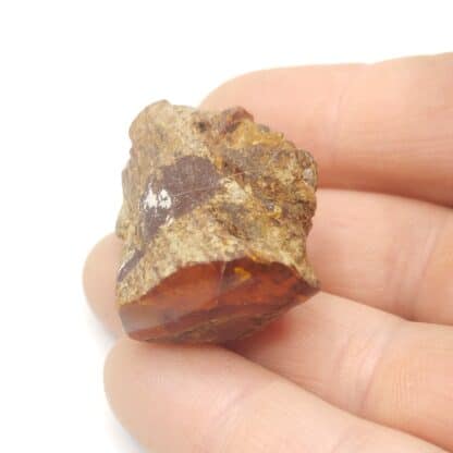Ambre, Carrières Lafarge, Chevrières, Oise.