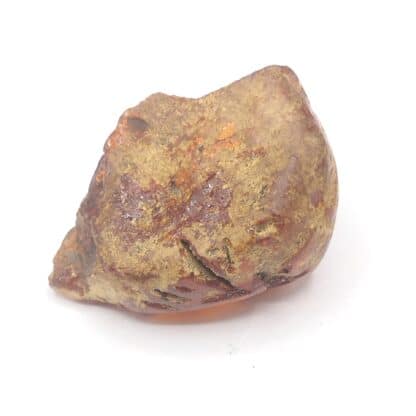 Ambre, Carrière de Chevrières, Oise.