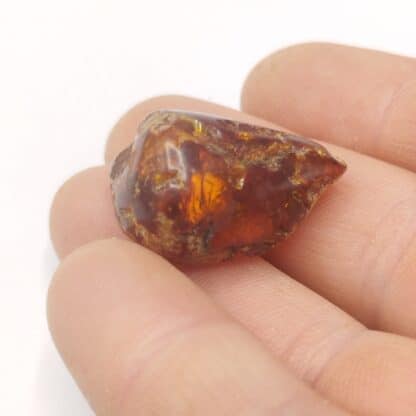 Ambre, Carrière de Chevrières, Oise.