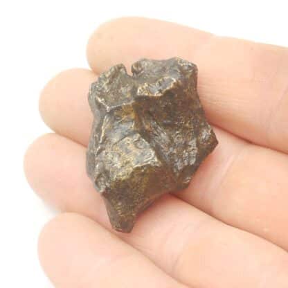 Météorite Octahédrite, Sikhote Alin, Sibérie, Russie.