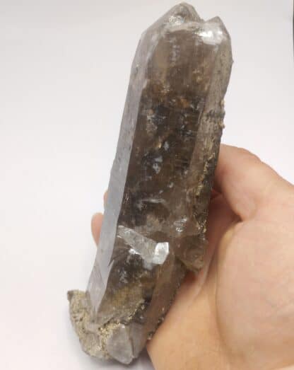 Bertrandite & Quartz, Quilly (La Villeder), Morbihan, Bretagne.