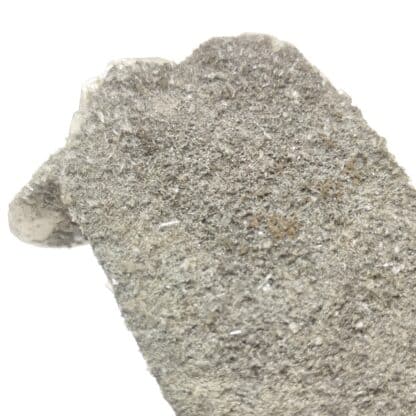 Bertrandite & Quartz, Quilly (La Villeder), Morbihan, Bretagne.