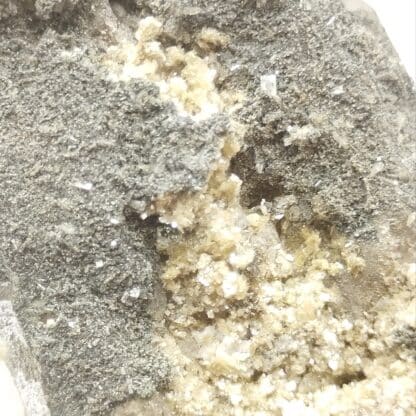 Bertrandite & Quartz, Quilly (La Villeder), Morbihan, Bretagne.