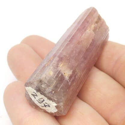 Tourmaline Elbaïte, Morro Redondo, Minas Gerais, Brésil.