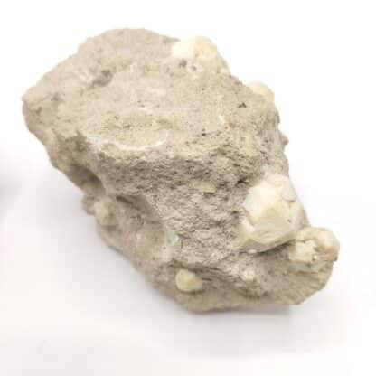 Leucite, Parco Chigi, Ariccia, Italie.