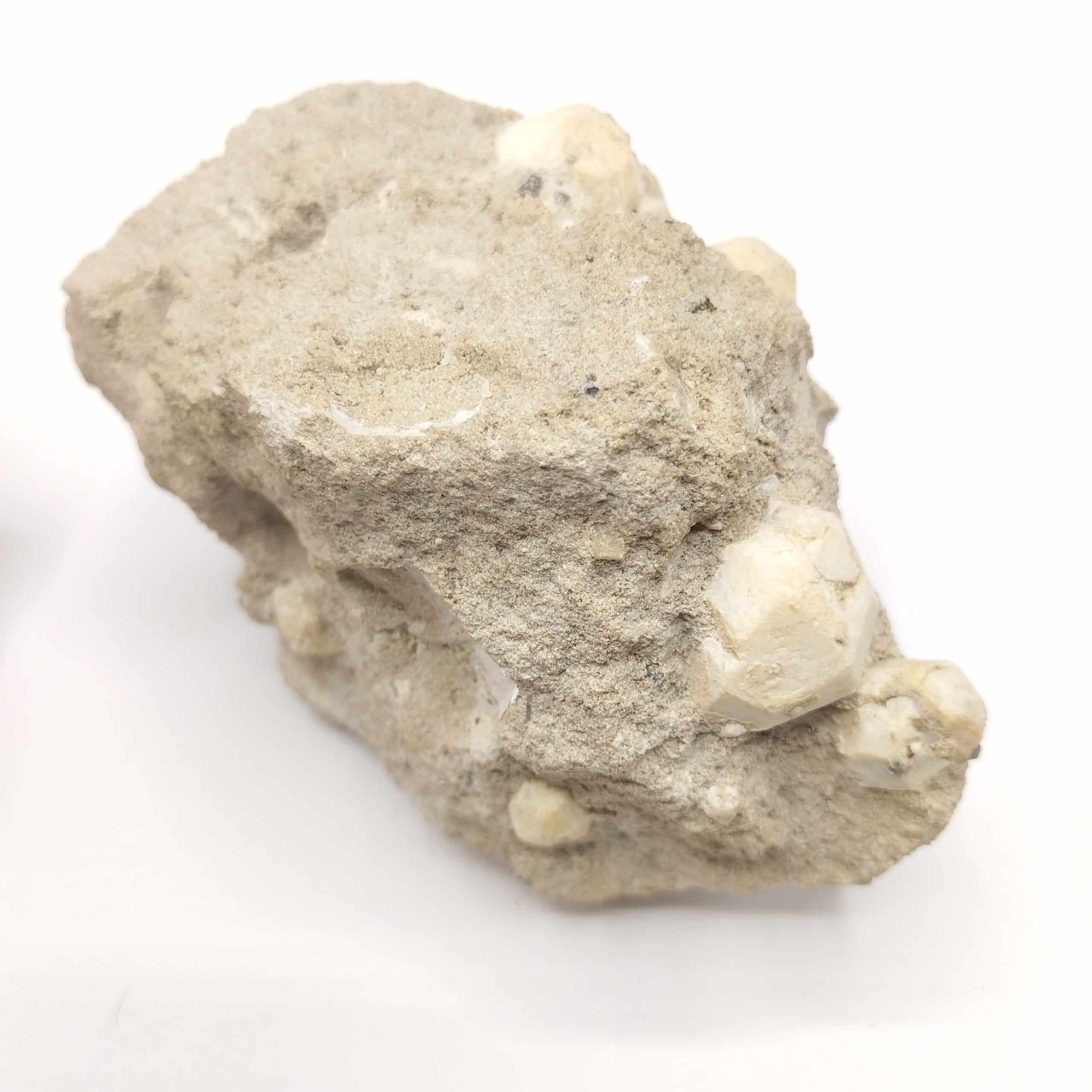 Leucite, Parco Chigi, Ariccia, Italie.