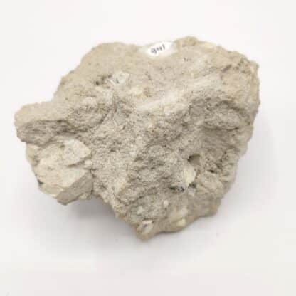 Leucite, Parco Chigi, Ariccia, Italie.