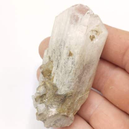 Danburite, Charcas, Mexique.