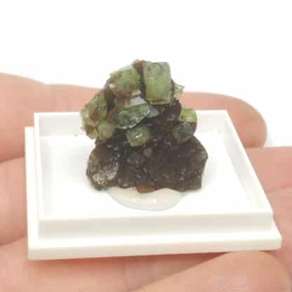 Ludlamite, Blackbird Mine, Idaho, USA (États-Unis).