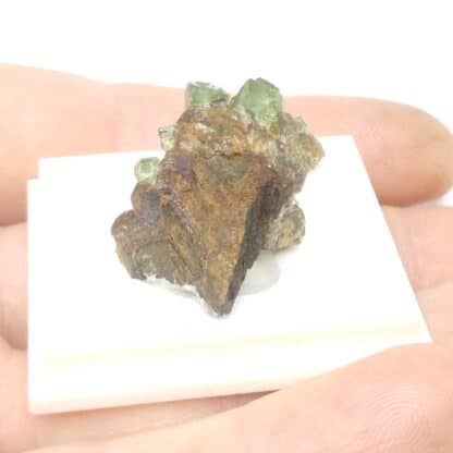 Ludlamite, Blackbird Mine, Idaho, USA (États-Unis).