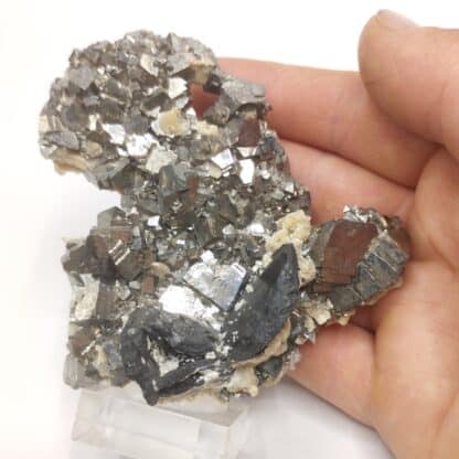 Arsénopyrite & Wolfram, Mine Yaogangxian, Hunan, Chine.