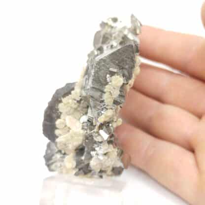 Arsénopyrite & Wolfram, Mine Yaogangxian, Hunan, Chine.
