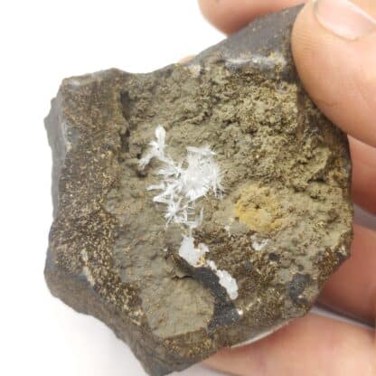 Aragonite, Espalion, Aveyron.