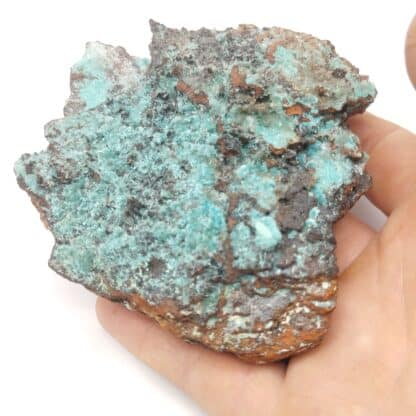 Aurichalcite, Ojuela, Mexique.